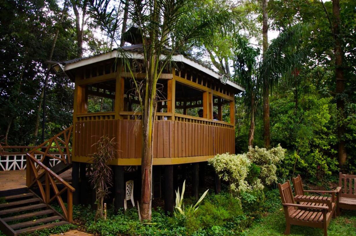 Edgewood Country Place Hotell Thika Exteriör bild